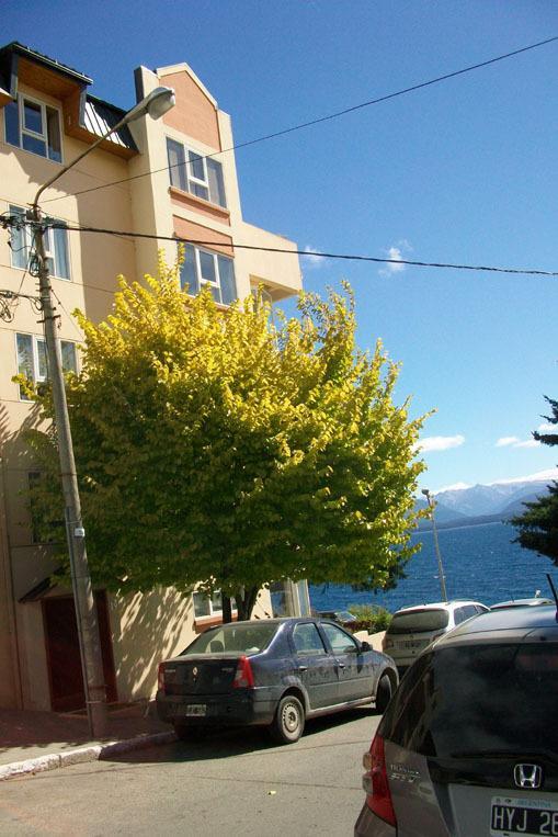 Departamento Costanera Lägenhet San Carlos de Bariloche Exteriör bild